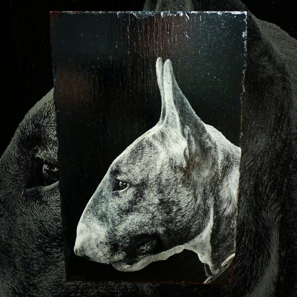 M.G.Laser - Schiertafeln und mehr